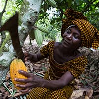 We’re Working With Fairtrade To Support Farmers On The Journey To A Living Income