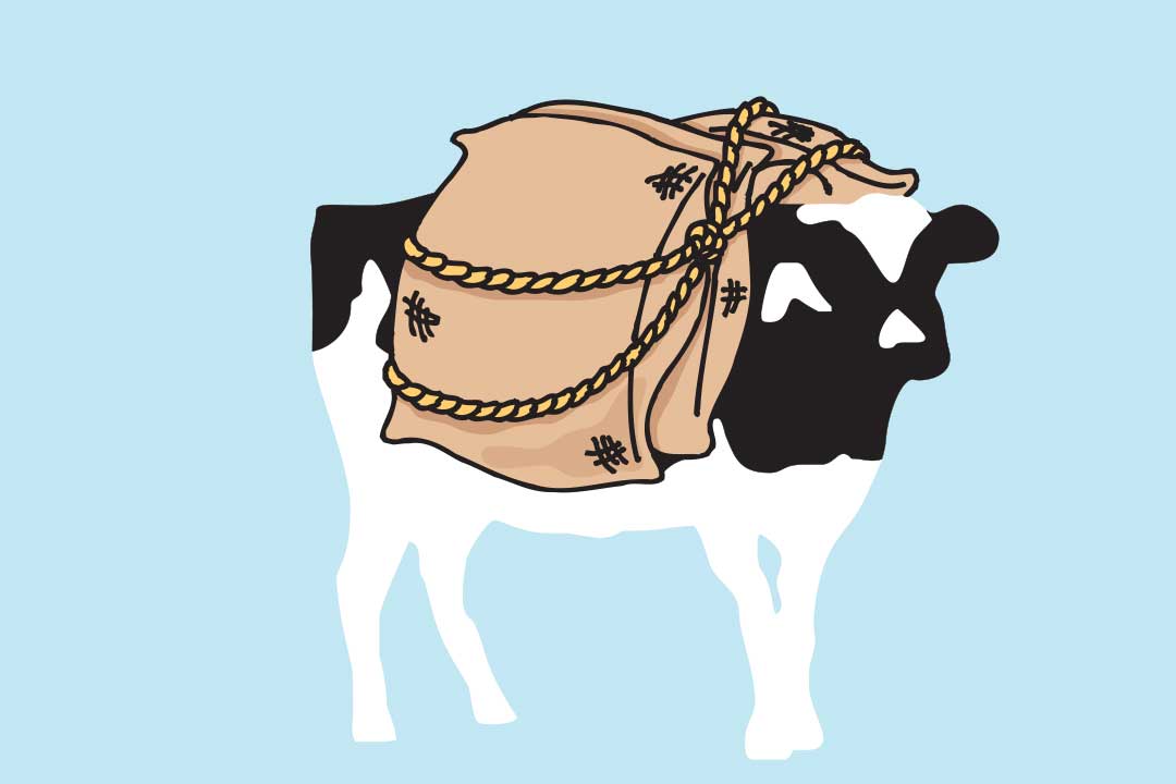 Woodie com sacos nas costas